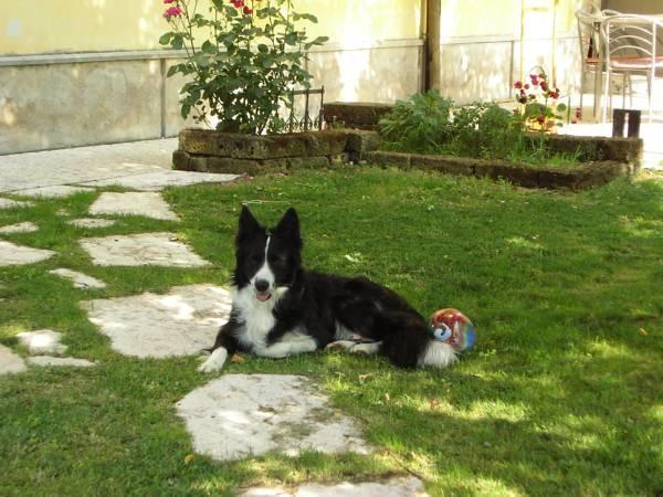 Bed & Breakfast Ai Tre Confini